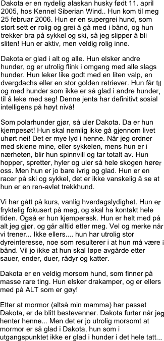 Dakota er en nydelig alaskan husky født 11. april 2005, hos Kennel Siberian Wind.. Hun kom til meg 25 februar 2006. Hun er en supergrei hund, som stort sett er rolig og grei å gå med i bånd, og hun trekker bra på sykkel og ski, så jeg slipper å bli sliten! Hun er aktiv, men veldig rolig inne.
Dakota er glad i alt og alle. Hun elsker andre hunder, og er utrolig flink i omgang med alle slags hunder. Hun leker like godt med en liten valp, en dvergdachs eller en stor golden retriever. Hun får til og med hunder som ikke er så glad i andre hunder, til å leke med seg! Denne jenta har definitivt sosial intelligens på høyt nivå!
Som polarhunder gjør, så uler Dakota. Da er hun kjempesøt! Hun skal nemlig ikke gå gjennom livet uhørt nei! Det er mye lyd i henne. Når jeg ordner med skiene mine, eller sykkelen, mens hun er i nærheten, blir hun spinnvill og tar totalt av. Hun hopper, spretter, hyler og uler så hele skogen hører oss. Men hun er jo bare ivrig og glad. Hun er en racer på ski og sykkel, det er ikke vanskelig å se at hun er en ren-avlet trekkhund.
Vi har gått på kurs, vanlig hverdagslydighet. Hun er fryktelig fokusert på meg, og skal ha kontakt hele tiden. Også er hun kjemperask. Hun er helt med på alt jeg gjør, og går alltid etter meg. Vel og merke når vi trener... Ikke ellers.... hun har utrolig stor dyreinteresse, noe som resulterer i at hun må være i bånd. Vil jo ikke at hun skal løpe avgårde etter sauer, ender, duer, rådyr og katter.
Dakota er en veldig morsom hund, som finner på masse rare ting. Hun elsker drakamper, og er ellers med på ALT som er gøy!
Etter at mormor (altså min mamma) har passet Dakota, er de blitt bestevenner. Dakota furter når jeg henter henne... Men det er jo utrolig morsomt at mormor er så glad i Dakota, hun som i utgangspunktet ikke er glad i hunder i det hele tatt... 



















